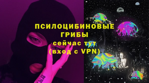 мяу мяу мука Арсеньев