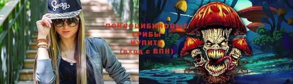 гидропоника Аркадак