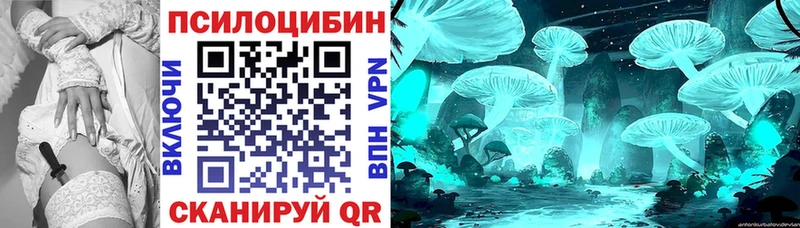 Галлюциногенные грибы Magic Shrooms Петровск-Забайкальский