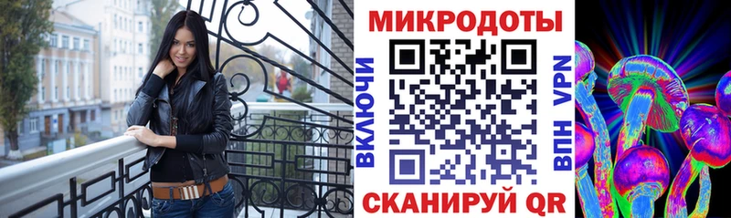 Псилоцибиновые грибы Psilocybine cubensis Петровск-Забайкальский